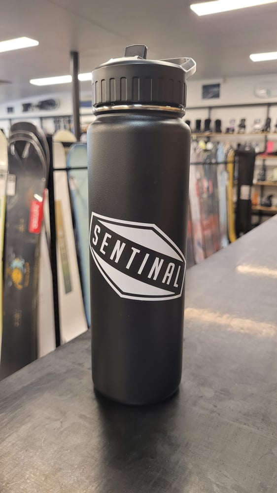Sentinal Die-Cut Sticker