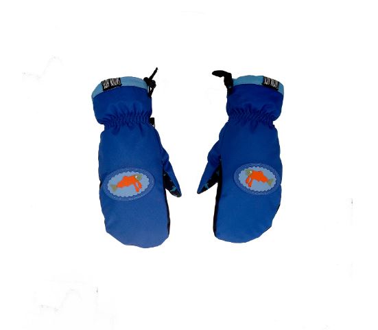 Salmon Arms TEAM MITT