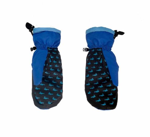 Salmon Arms TEAM MITT